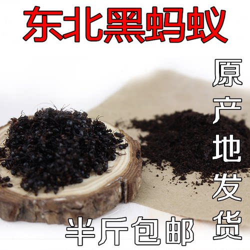 东北黑龙江伊春深山大包人工抓黑蚂蚁泡酒新货250g包邮