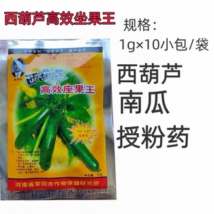 西葫芦高效坐果王座果率高膨果快瓜条油亮顺直