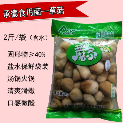 承德绿茵食用菌草菇含水1000g