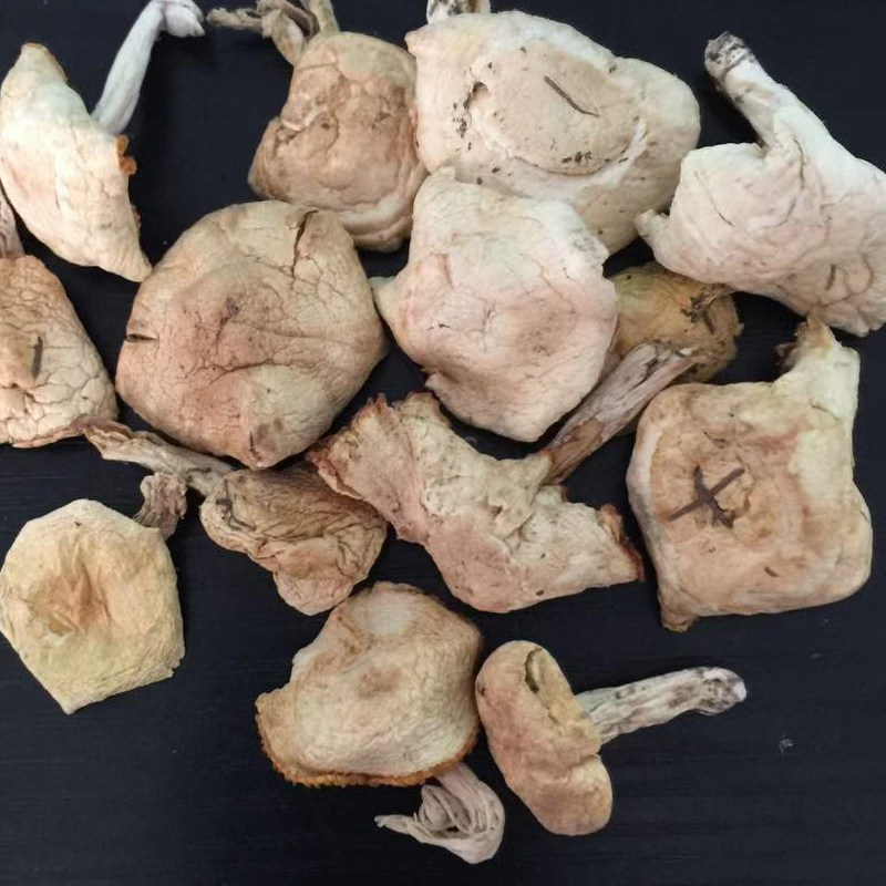 坝上白蘑菇干新货 承德围场特产 野生草原小白蘑食用菌