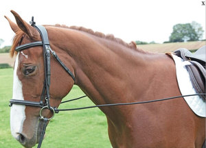 训马沙邦马术沙邦调教绳马缰绳调教马匹多重用法 3.1米马具马术