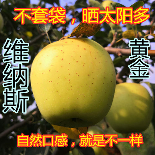 自己家果园现摘现发黄豆做肥料