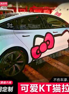 适用奔驰凯蒂猫拉花特斯拉Model3 Y小米SU7车贴保时捷YU7车身贴纸
