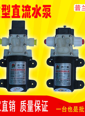 普兰迪12v24v迷你微型自吸水泵
