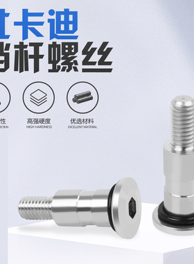 适用杜卡迪796 795 1199 959 939大魔鬼V2/V4821挂档杆刹车杆螺丝