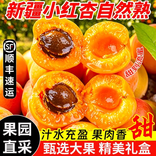 【官方推荐】小红杏软糯香甜！