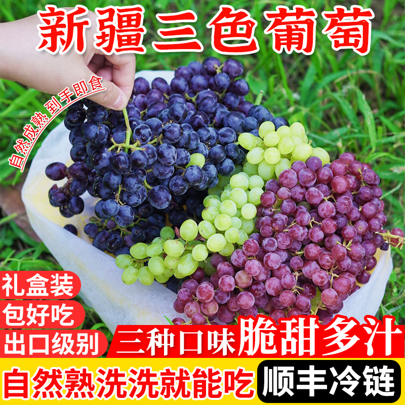 新疆葡萄新鲜应季水果吐鲁番三色无籽葡萄纯甜整箱顺丰冷链包邮