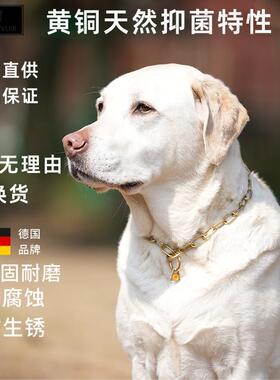 德国DEAN TYLER 纯铜黄铜中短长节P链长毛犬狗套狗项圈狗圈脖圈