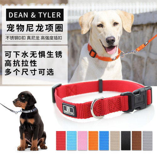 不锈钢D扣耐磨尼龙项圈狗圈宠物