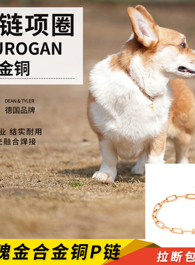 德国DEAN TYLER高强度合金铜玫瑰金短节P链狗圈项圈柯基腊肠边境