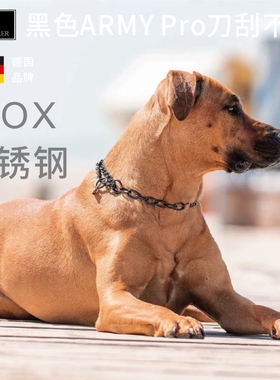 德国DEAN & TYLER 半控制不锈钢P链项圈狗圈宠物项圈德牧金毛马犬