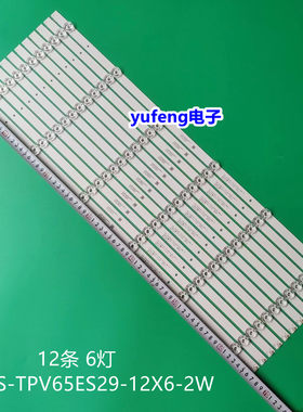 HRS-TPV65ES29-12X6-2W
