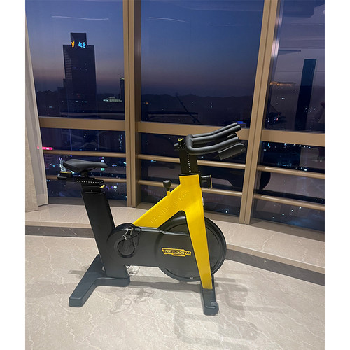 Technogym泰诺健室内动感单车
