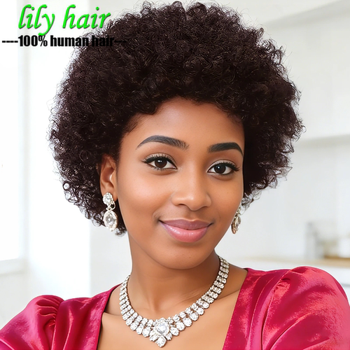 Afro Kinky Curly 13*4 Lace Frontal Pixie Human Hair Puff Wig
