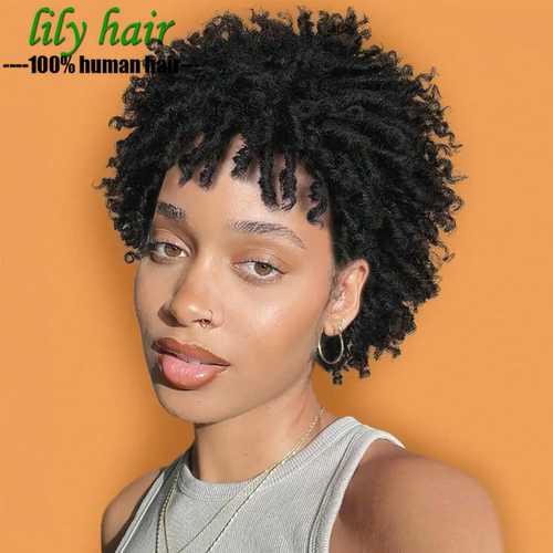Afro Kinky Curly Human Hair 13x4 Lace Front Pixie Curly Wigs