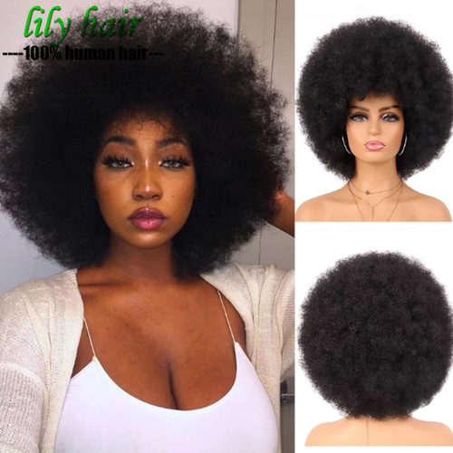 FluffyAfroKinkyCurlyWig