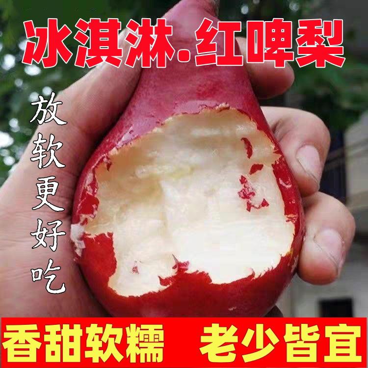 【正宗】红啤梨冰淇淋梨子软糯香甜太婆梨产地当季孕妇水果红皮梨