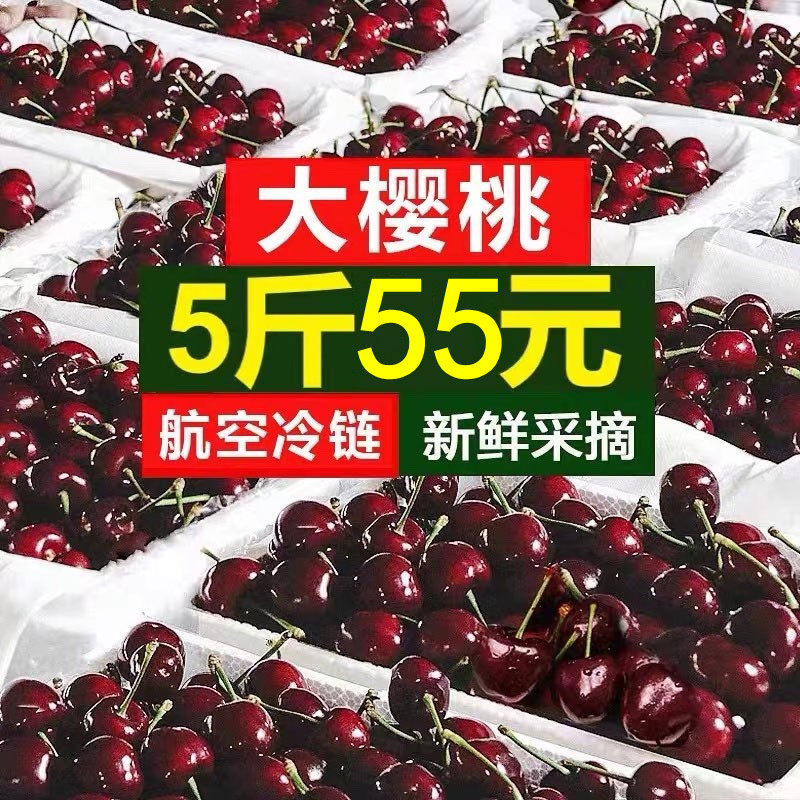 大樱桃当季孕妇水果新鲜现摘国产整箱车厘子河南美早5斤顺丰包邮