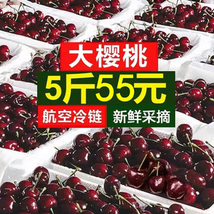 包邮 孕妇水果新鲜现摘国产整箱车厘子河南红灯5斤顺丰 大樱桃当季