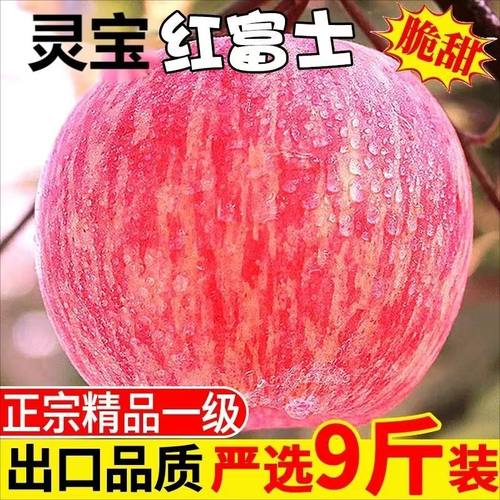 正宗寺河山红富士苹果顺丰包邮