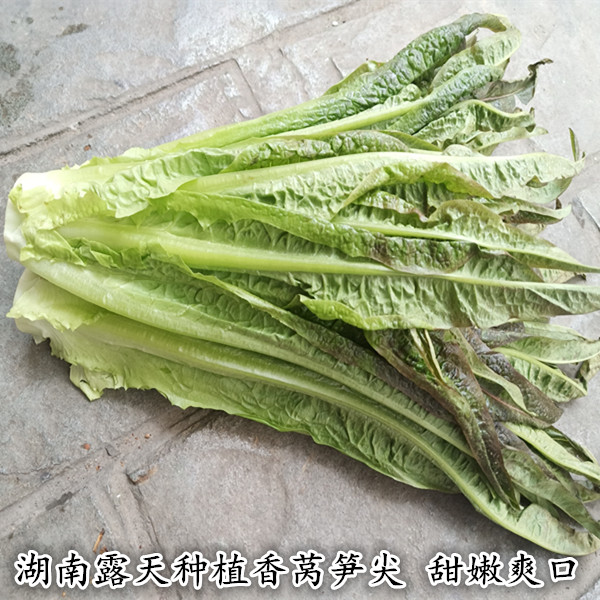 【3斤】湖南青菜湘菜食材香莴笋叶莴苣叶子菜小菜麻辣烫下火锅菜