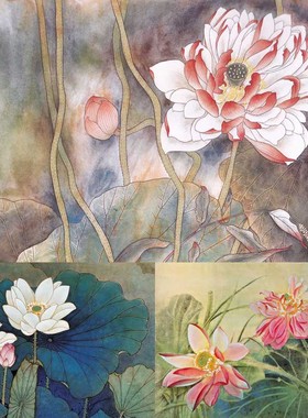 P359工笔荷花素材当代众名家工笔花鸟图片国画临摹电子参考资料