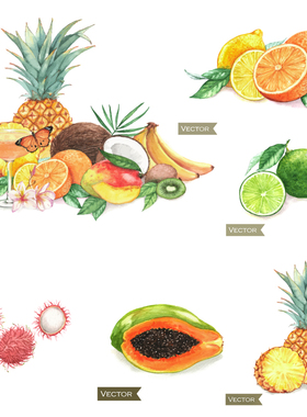 P350矢量木瓜香蕉橙子凤梨火龙果杨桃等热带水果插画印花设计素材