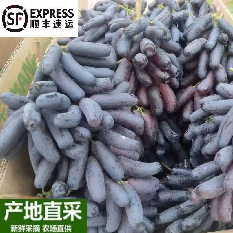 脆甜无籽可切片甜蜜蓝宝石葡萄自然成熟多汁爽口特级顺丰快递包邮