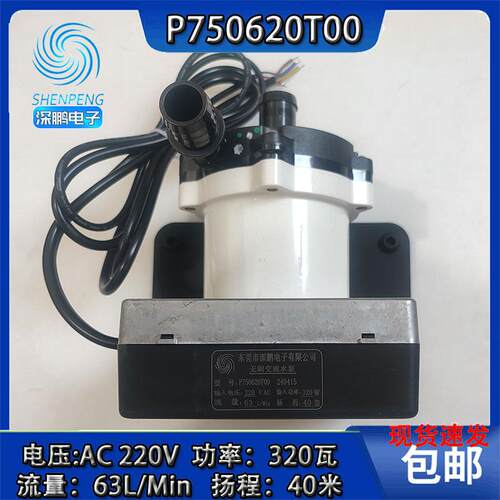 深鹏AC220V高压P750620T00水泵