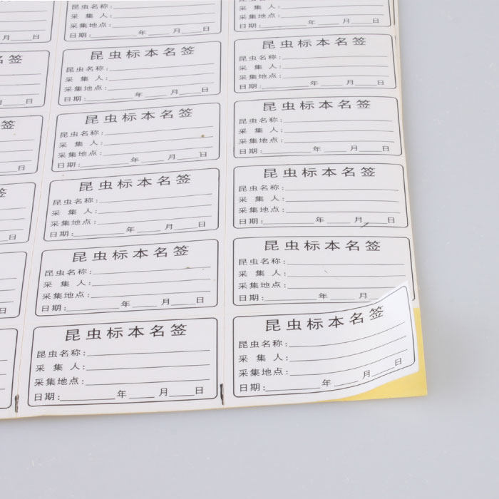 昆虫标本标签林业有害生物采集制作工具蝴蝶标本制作展示标签