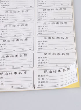 文亭印象昆虫标本标签不干胶标签