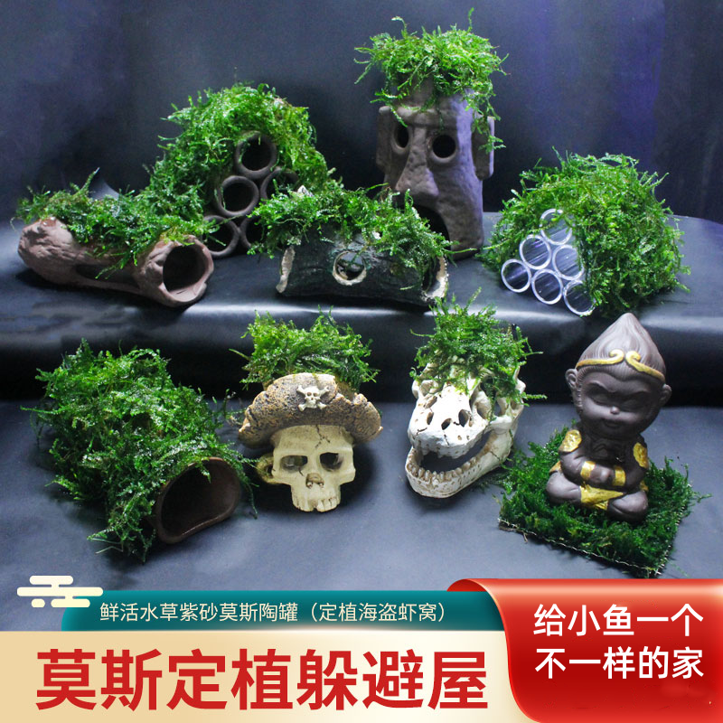 虾躲避屋鱼缸摆件鱼虾繁殖产卵罐