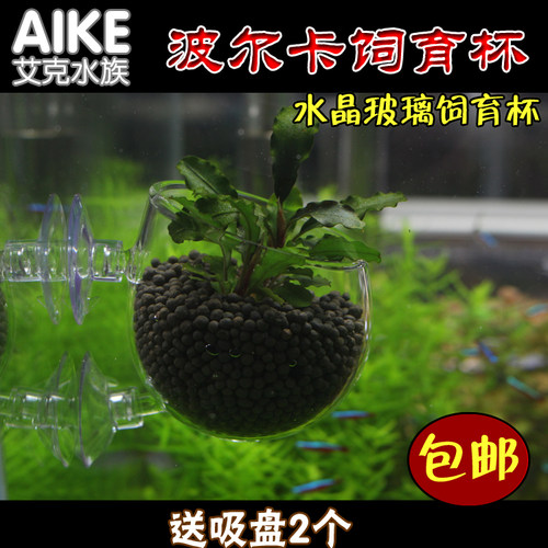 水草饲育造景盆价格 水草饲育造景盆图片 星期三