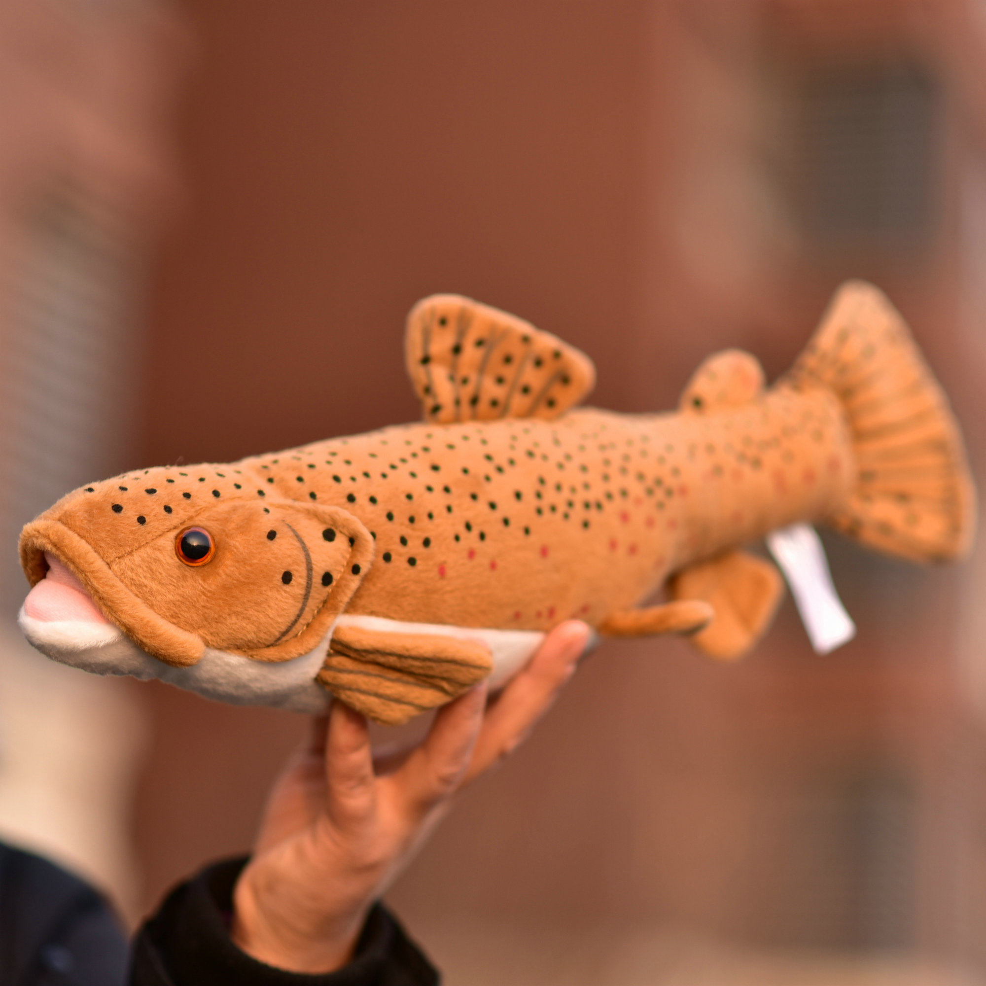 仿真鱼 fish 海洋鱼类 海鱼 毛绒玩具公仔玩偶 礼品礼物 脊椎动物