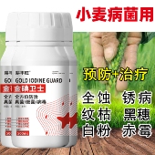 小麦病全治小麦杀菌剂纹枯病白粉病锈病赤霉病全蚀病根腐病黑穗病