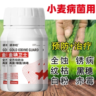 小麦病全治小麦杀菌剂纹枯病白粉病锈病赤霉病全蚀病根腐病黑穗病