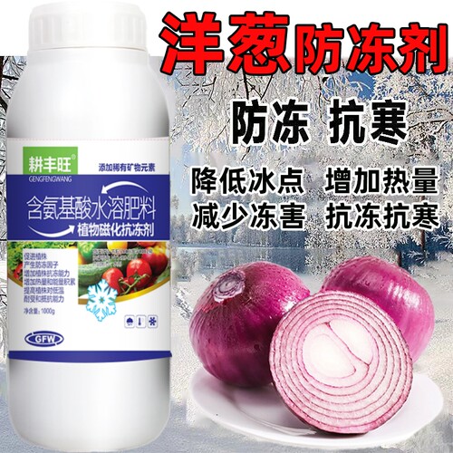 耕丰旺洋葱防冻剂洋葱防寒抗冻