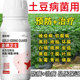 马铃薯病全治病全杀早晚疫病疮痂黑胫卷叶青枯环腐土豆专用杀菌剂