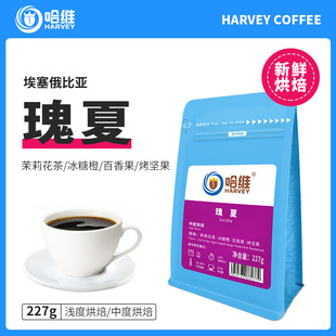 哈维埃塞俄比亚瑰夏咖啡豆中浅度新鲜烘焙单品手冲美式 现磨粉227g