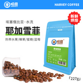 454g 深度新鲜烘焙单品美式 哈维埃塞俄比亚耶加雪菲咖啡豆 粉意式