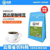 哈维埃塞俄比亚西达摩咖啡豆日晒新鲜中度烘焙单品手冲可磨粉454g