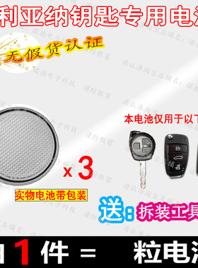 利亚纳A6钥匙用电子电池