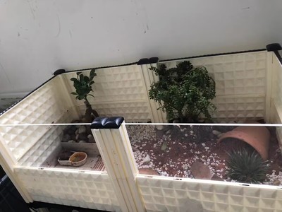 新品促销养龟箱透明玻璃箱