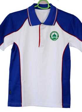 271教育初中夏季校服T恤永定海达南湖行知宇通学校实验粘贴校徽