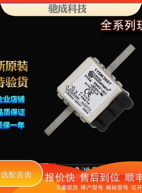 议价.巴斯曼170M3667 170M3668 170M3669 制作销售 熔断器