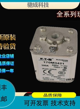 议价维修巴斯曼170M3424 170M3438 170M3439 销售价优 快速熔断器