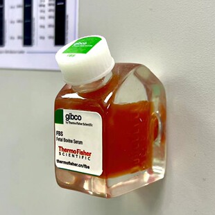 gibco同款 磁性冰箱贴创意留言贴 消化液仿真创意冰箱贴ins简约时尚