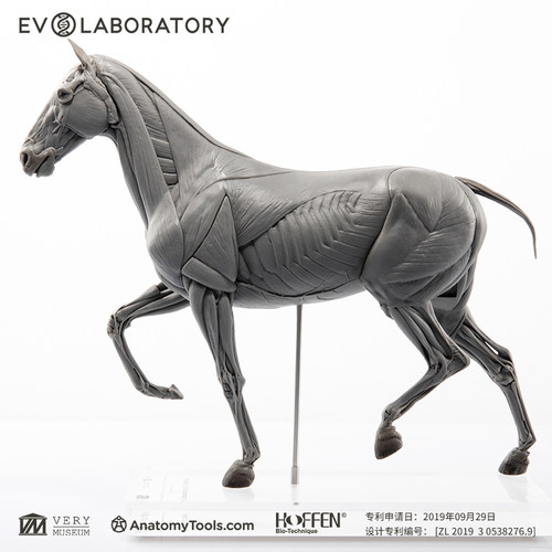 EVOLABORATORY模型雕像艺术摆件