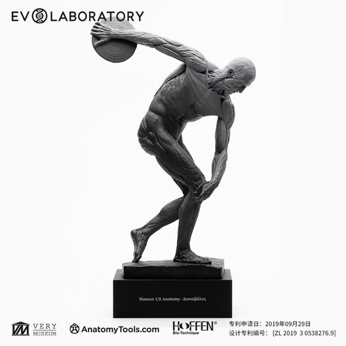 EVOLABORATORY科教模型掷铁饼者