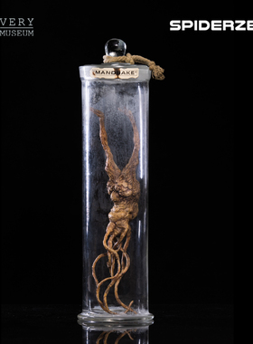 VeryMuseum非常博物馆零蜘蛛曼德拉草simonlee雕塑艺术品模型摆件